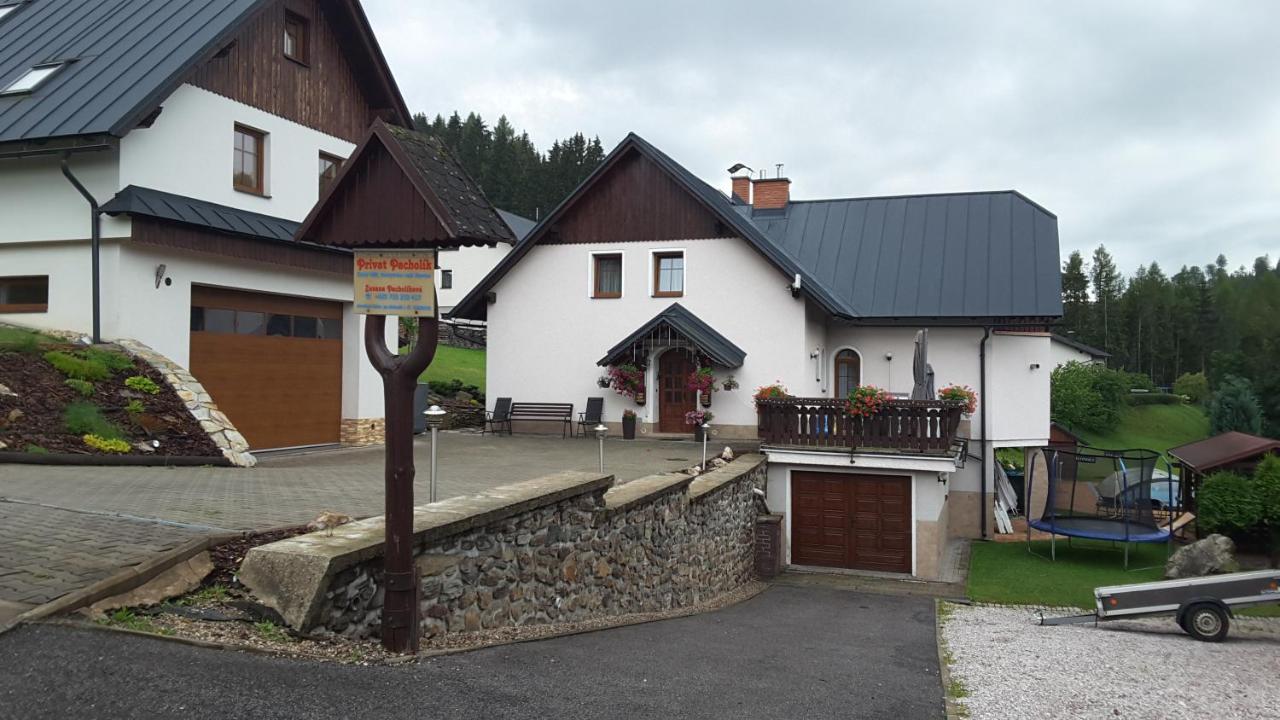 Apartmany - Privat Pacholik Rokytnice nad Jizerou Kültér fotó